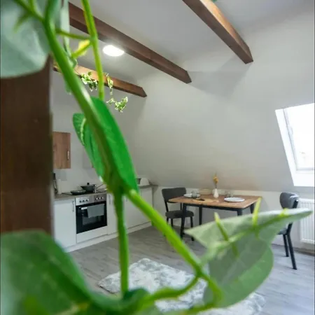 Livemore24 - 5 In 24-7 Check-in Apartament *